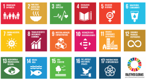 Os 17 Objetivos de Desenvolvimento Sustentável (ODS) da ONU